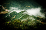 山雨课文(《山雨课文》百科介绍)